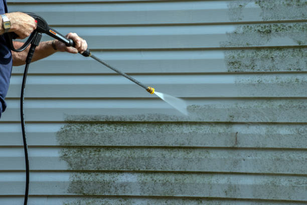 Best Pressure Washing Siding  in Nikiski, AK